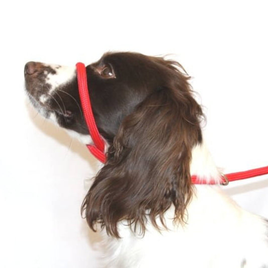 DOG & FIELD FIGURE 8 LEAD RED