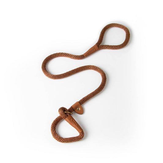 DOG & FIELD WOVEN SLIP LEAD EARTH