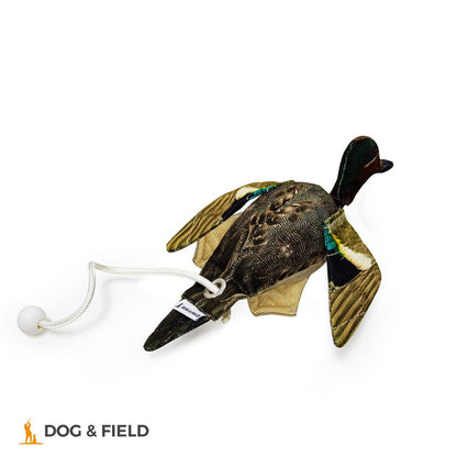 Dog & Field The Original Clone®️ Dead Bird Dummy – Teal