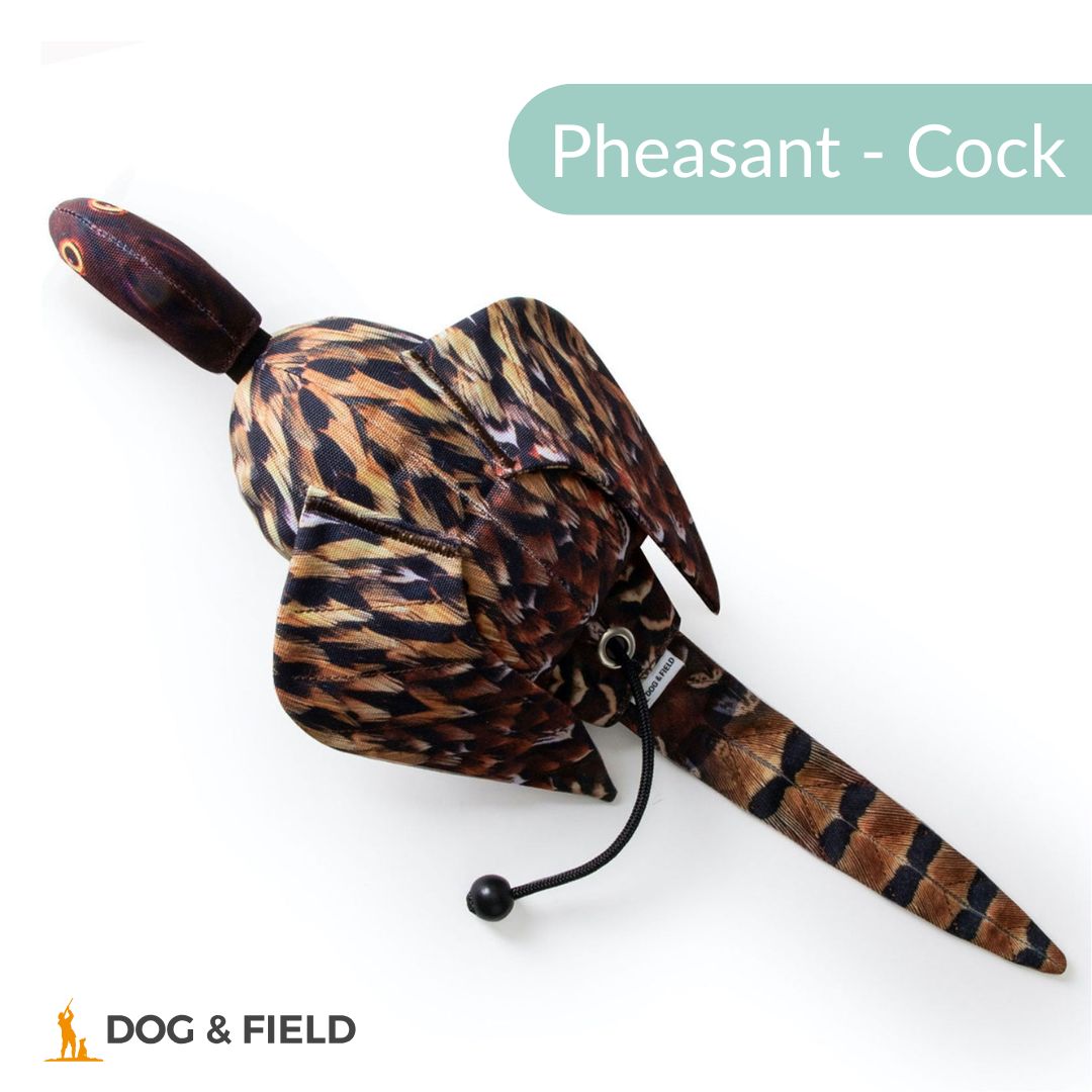 Dog & Field The Original Clone®️ Dead Bird Dummy