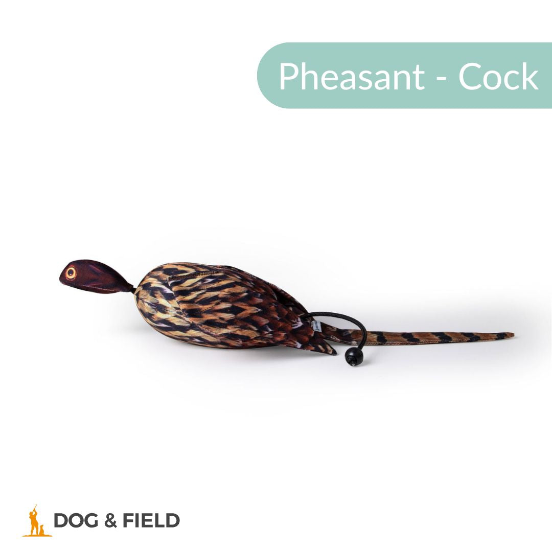 Dog & Field The Original Clone®️ Dead Bird Dummy