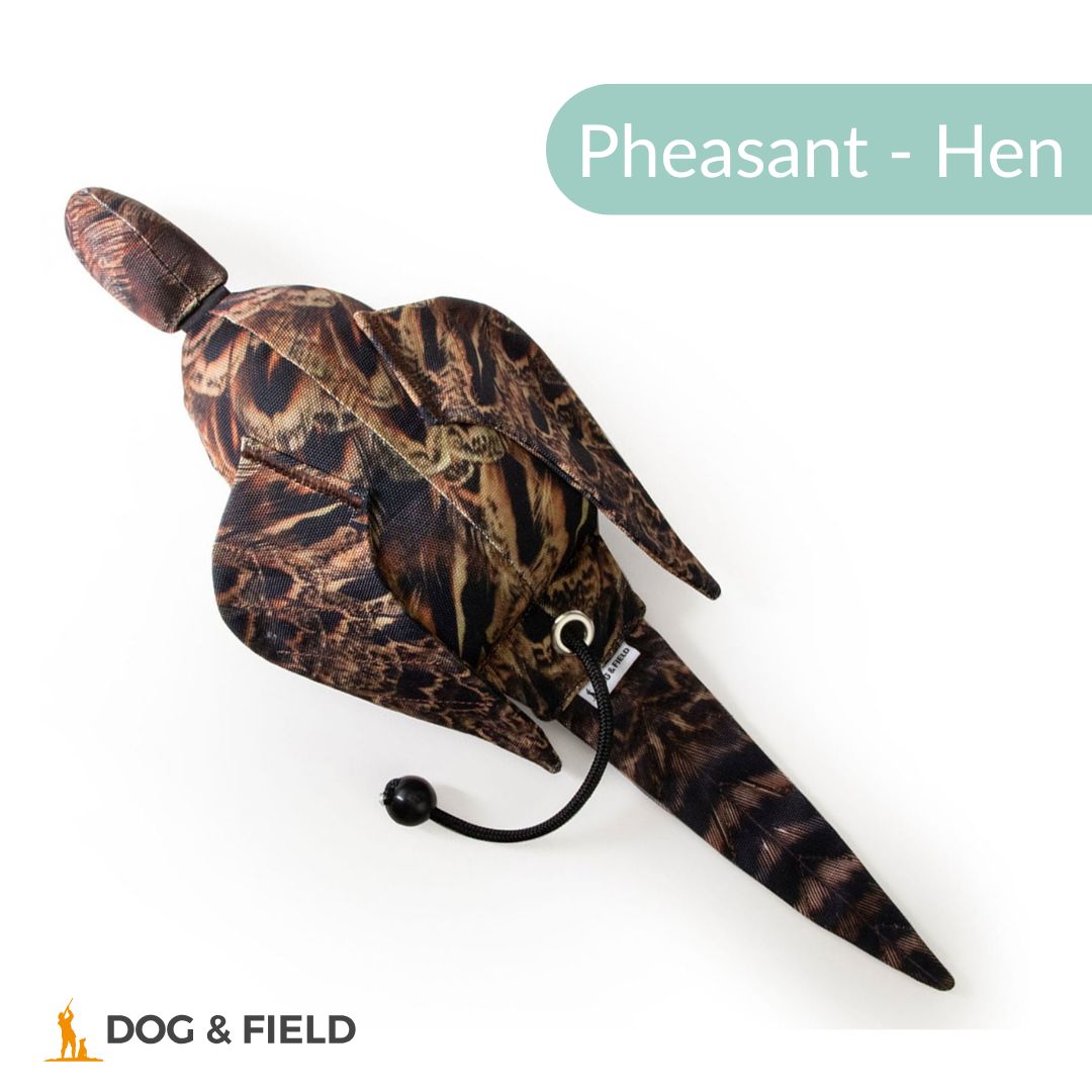 Dog & Field The Original Clone®️ Dead Bird Dummy