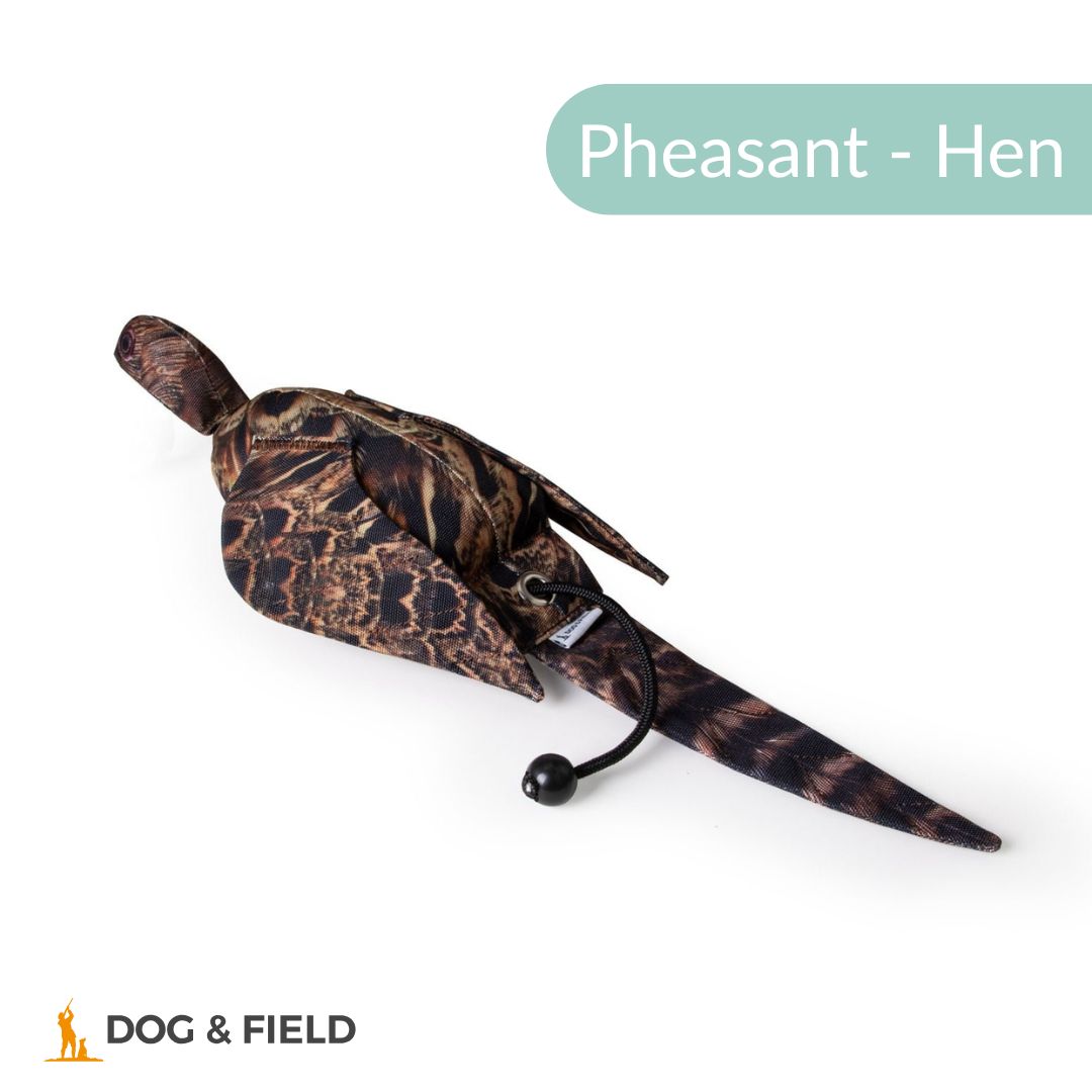 Dog & Field The Original Clone®️ Dead Bird Dummy