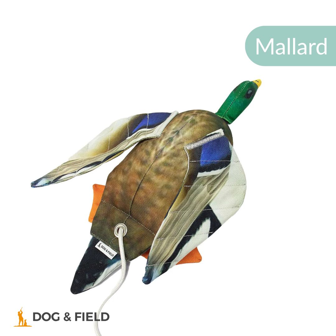 Dog & Field The Original Clone®️ Dead Bird Dummy
