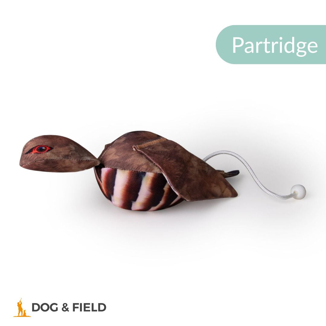 Dog & Field The Original Clone®️ Dead Bird Dummy