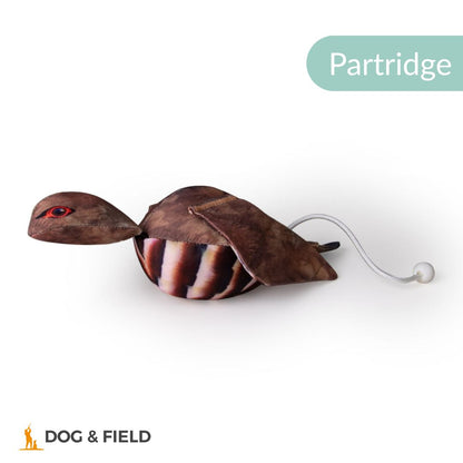 Dog & Field The Original Clone®️ Dead Bird Dummy