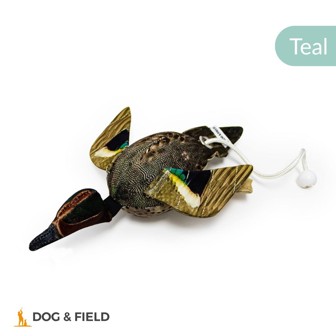 Dog & Field The Original Clone®️ Dead Bird Dummy