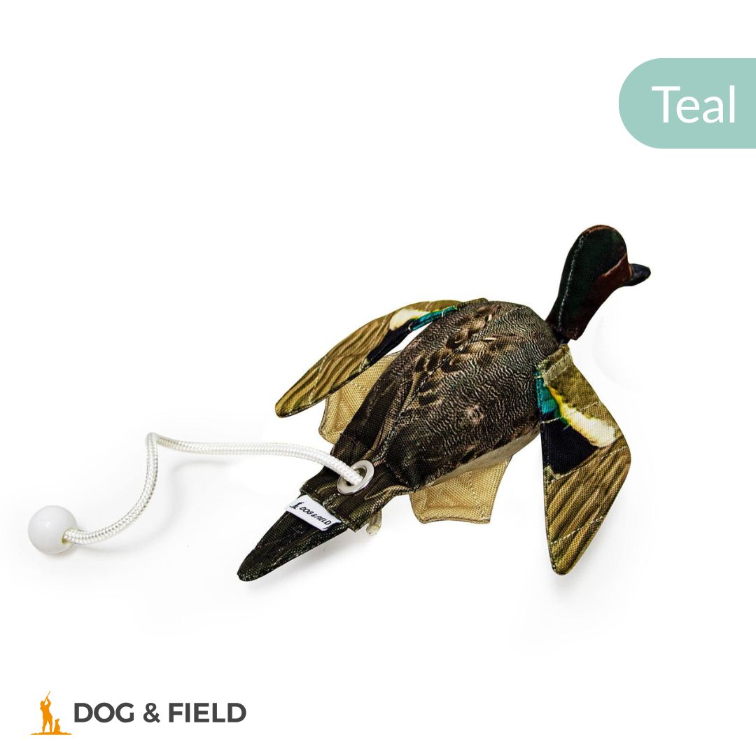 Dog & Field The Original Clone®️ Dead Bird Dummy