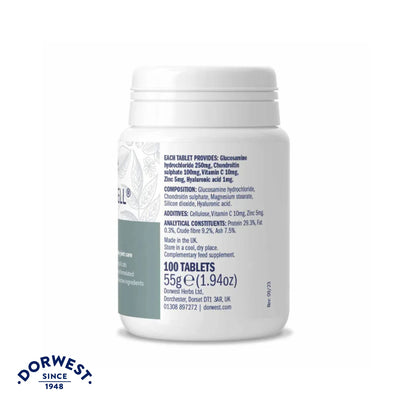 Dorwest Herbs Jointwell Tablets