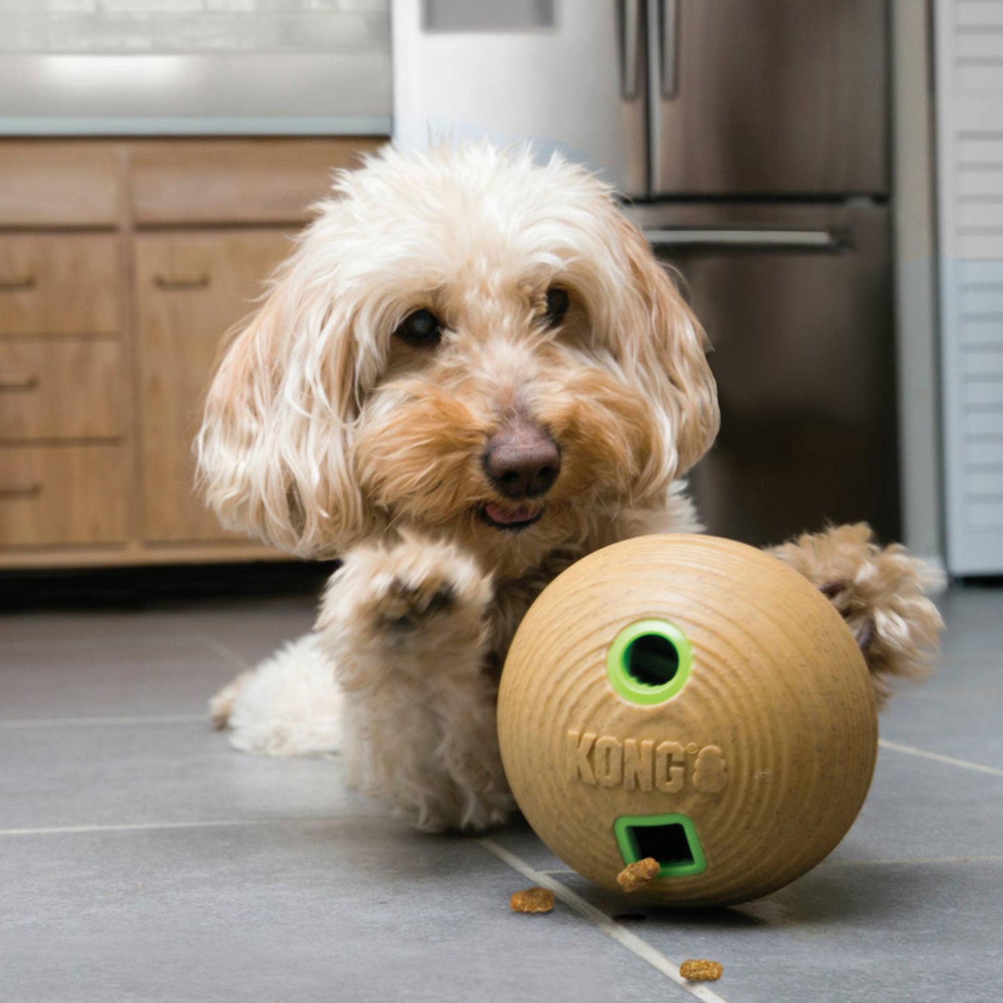 DOG WITH KONG BAMBOO BALL