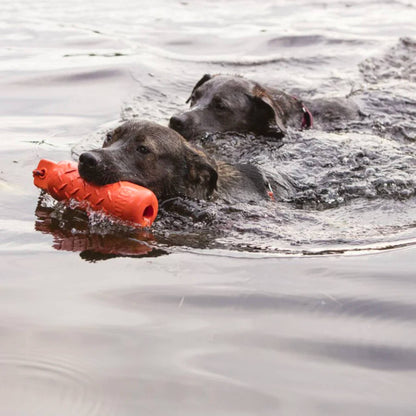 DOG IN WATER HOLDING DUMMY