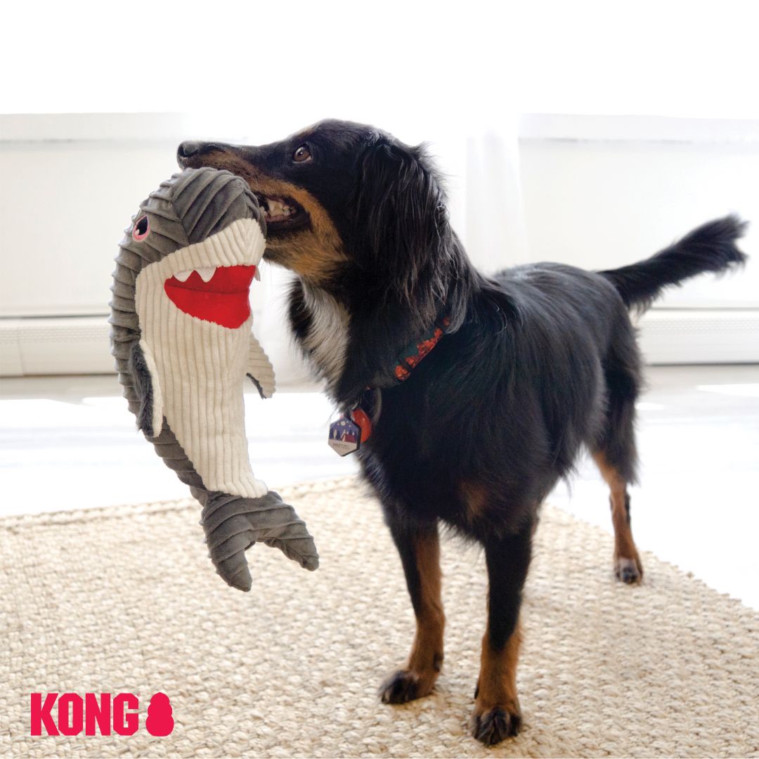 KONG CuteSeas Shark Rufflez
