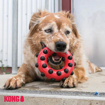 KONG Dotz Circle