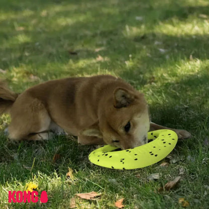 KONG Reflex Flyer