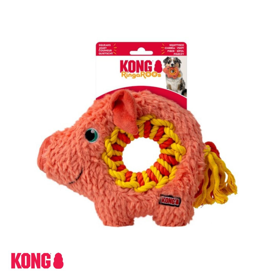 KONG Ringaroos pig on header card