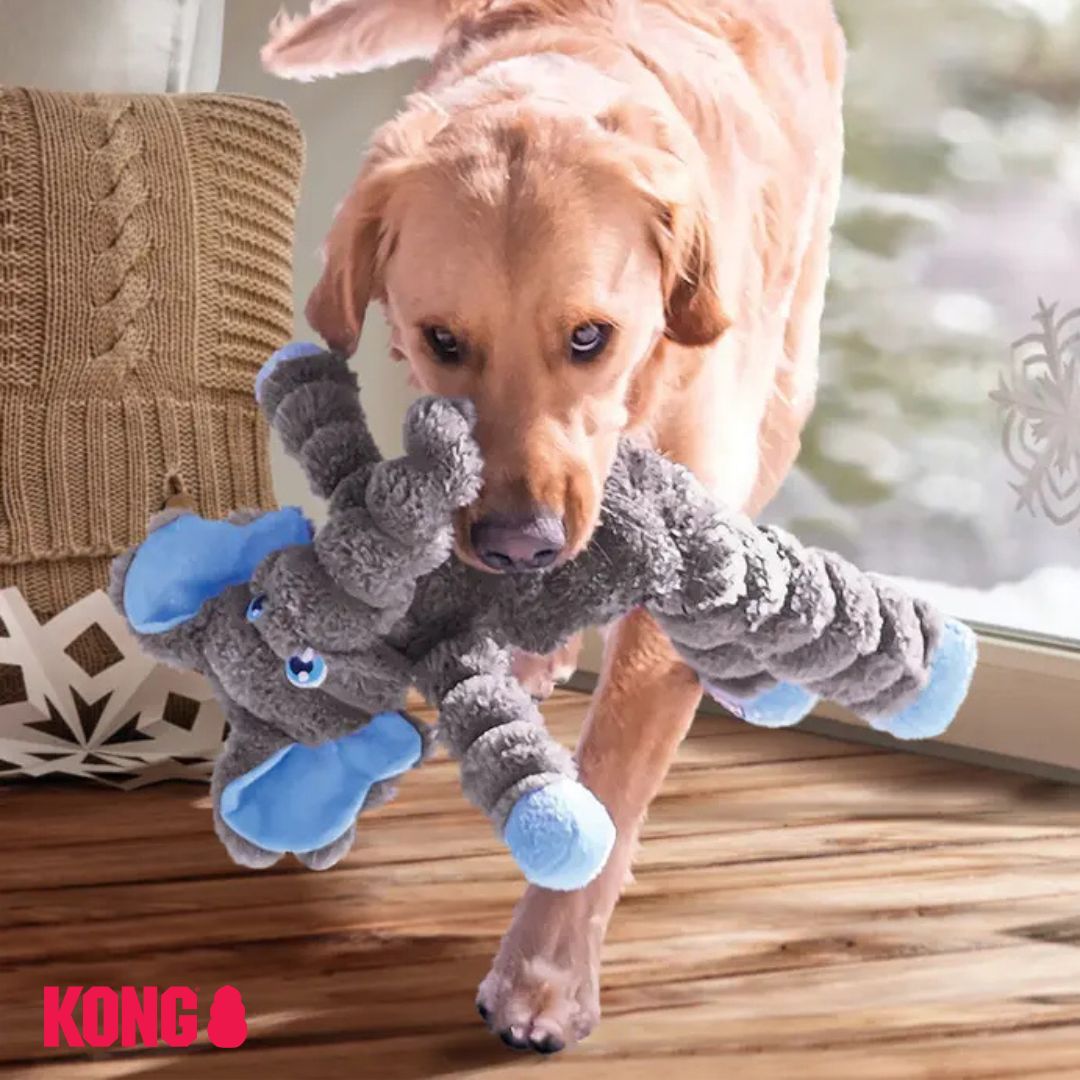 KONG Shakers Crumples