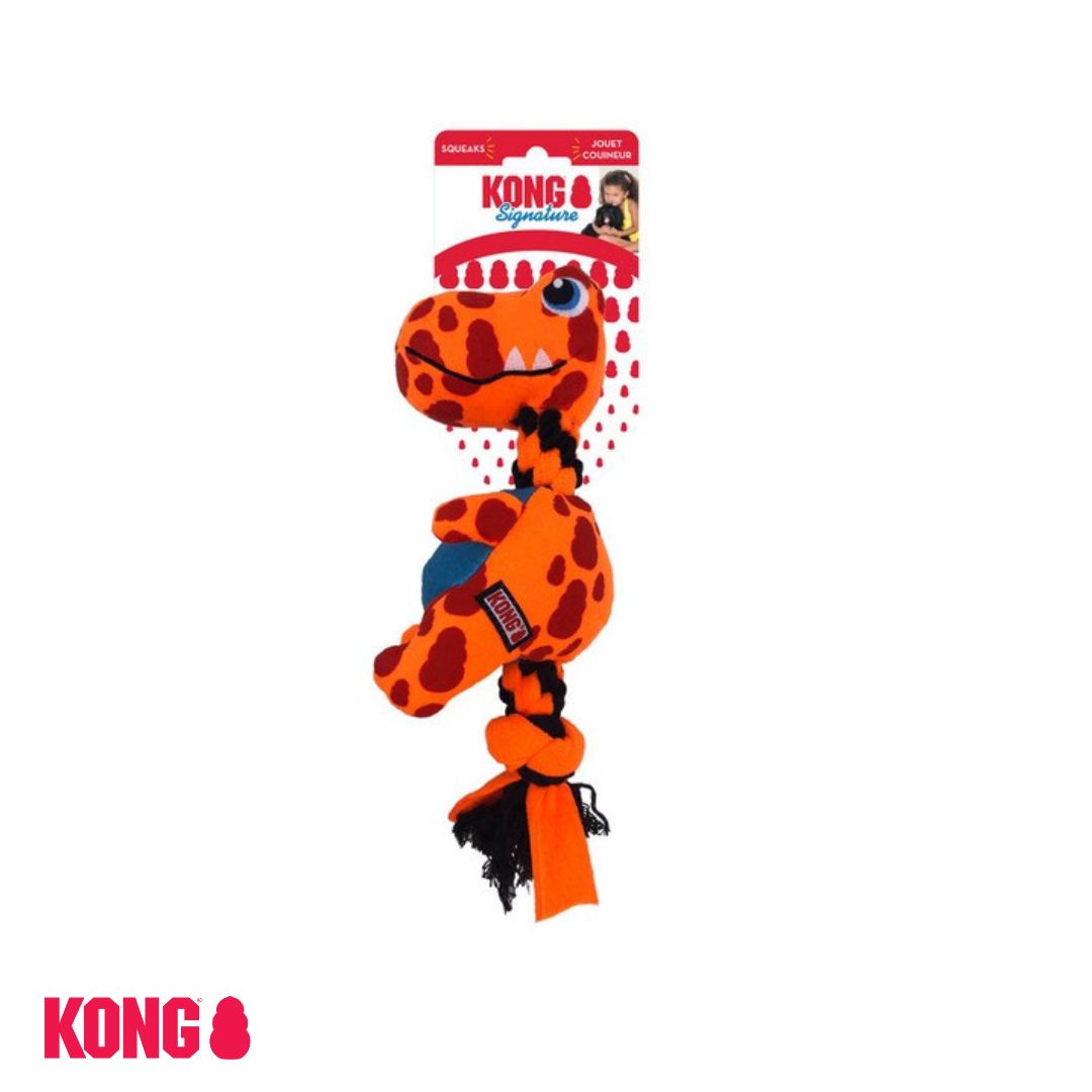 KONG Signature Dynos orange on header card