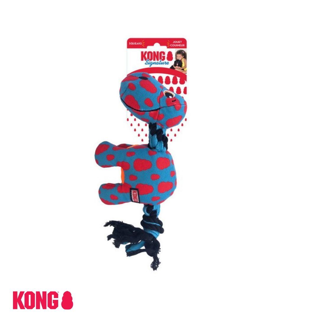 KONG Signature Dynos blue on header card