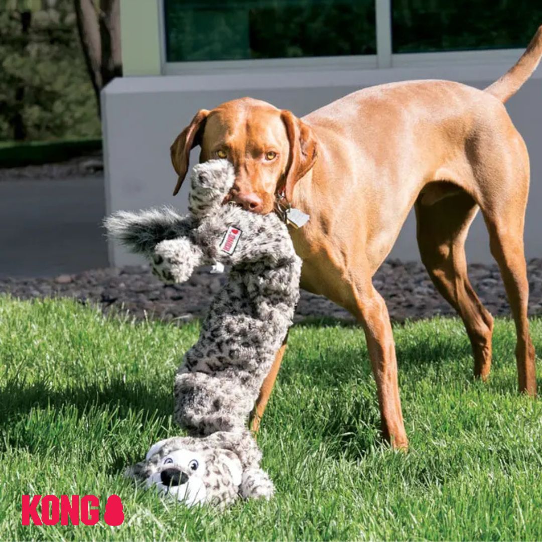 KONG Stretchezz Jumbo