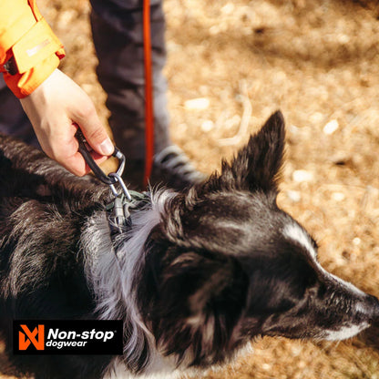 Non-Stop Dogwear Roam Dog Collar