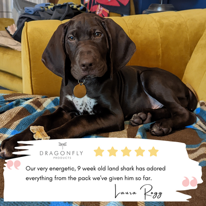 Chews for 8 week old puppy hot sale