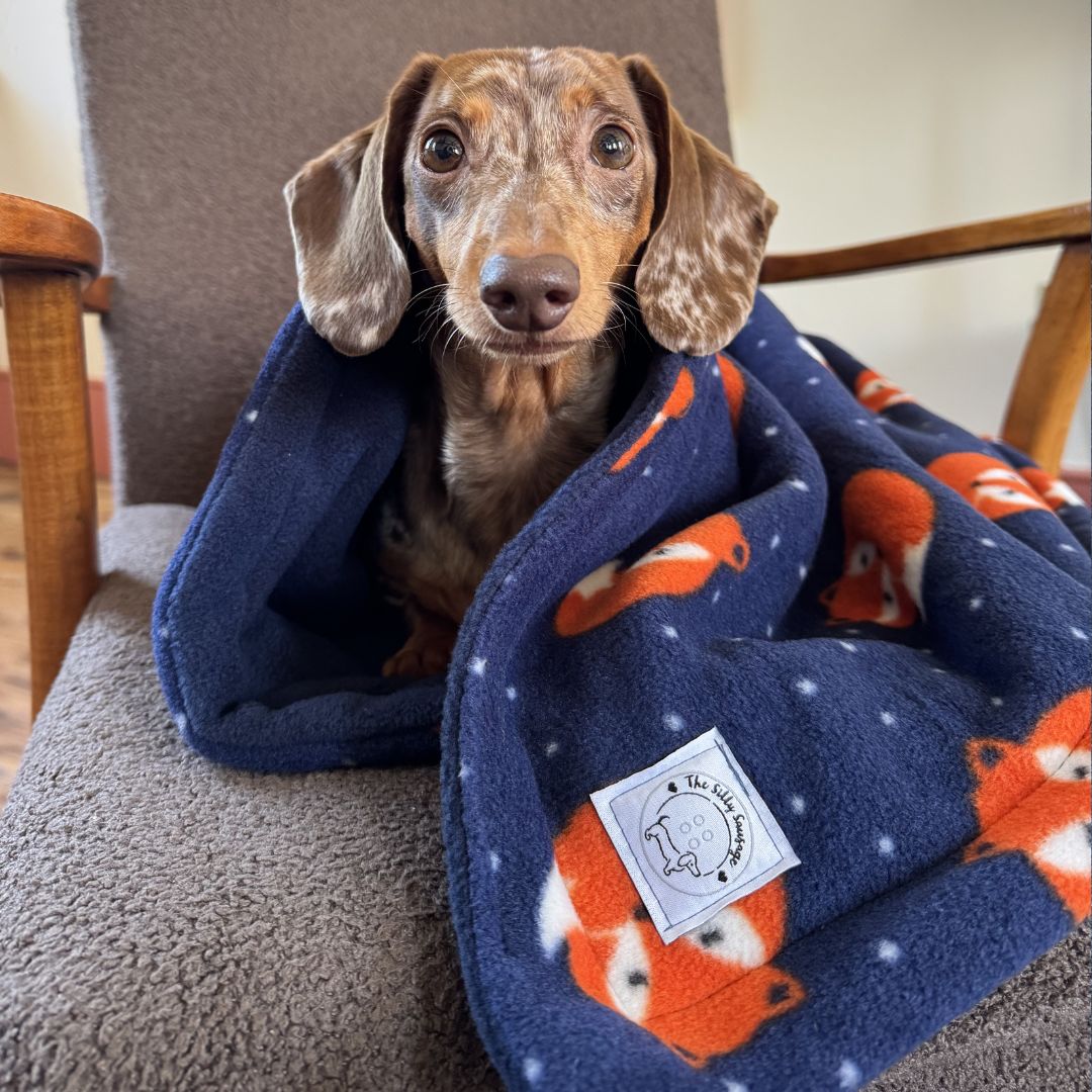 Luxury Reversible Polar Fleece Blanket