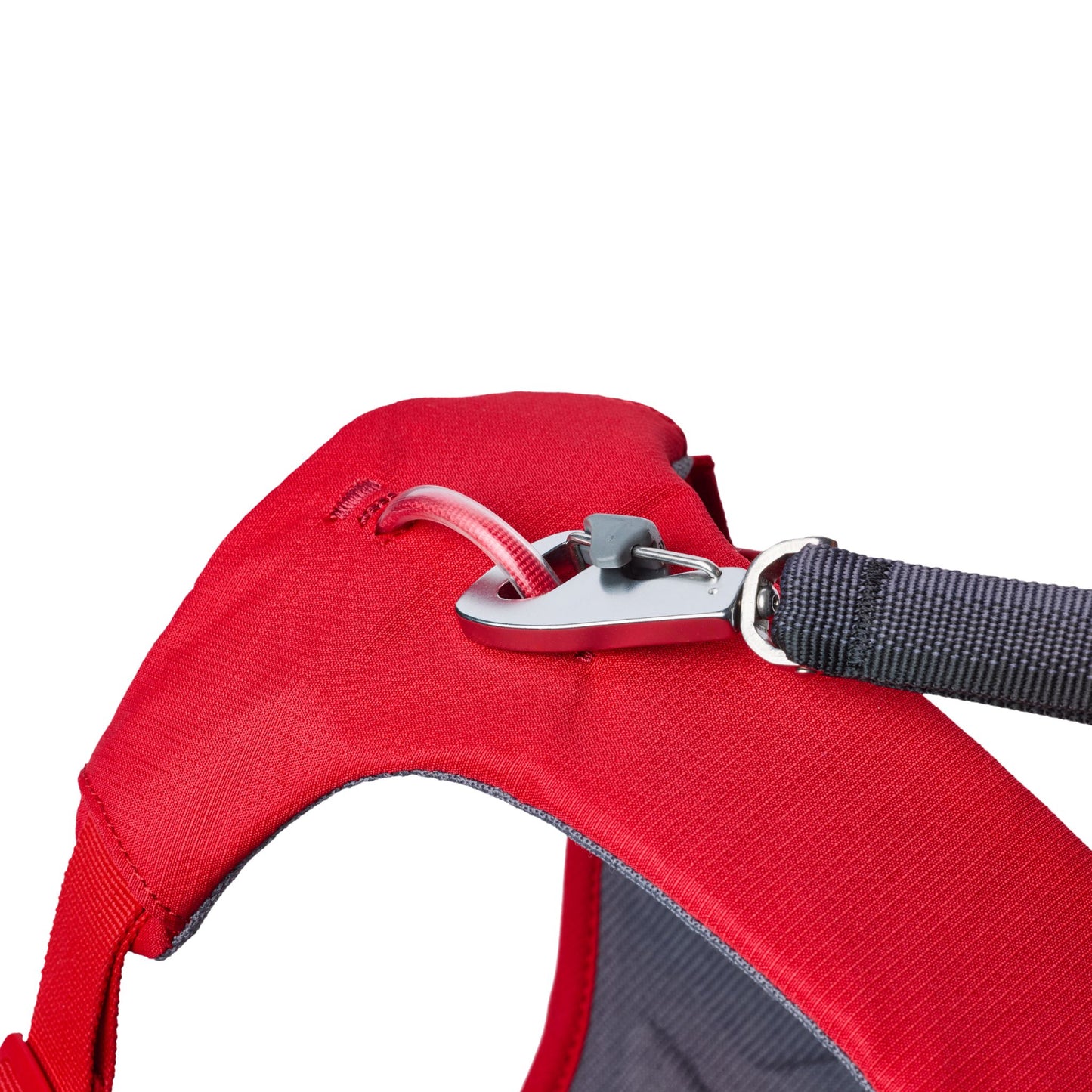 Ruffwear Web Master Harness