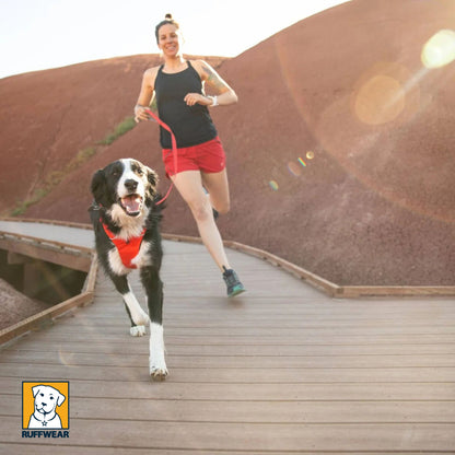 Ruffwear Front Range Lead