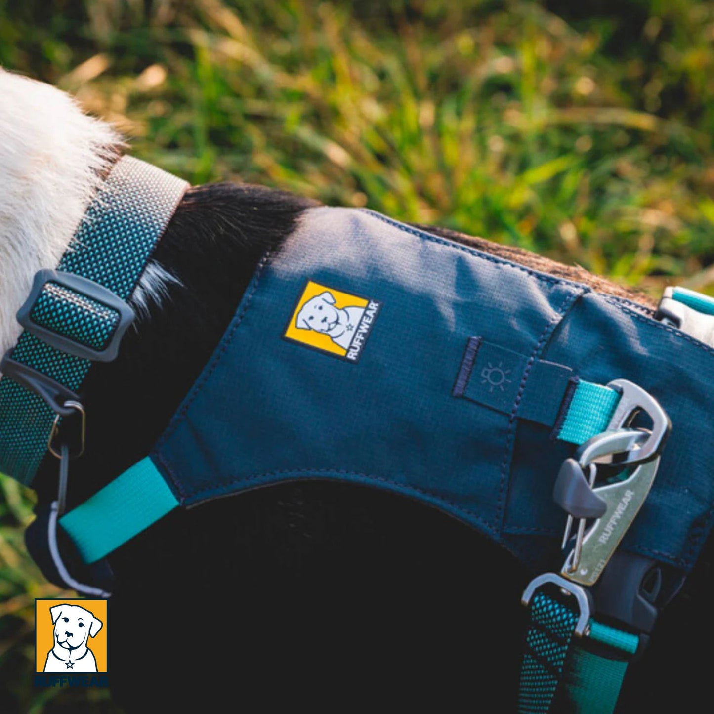Ruffwear Hi & Light Harness