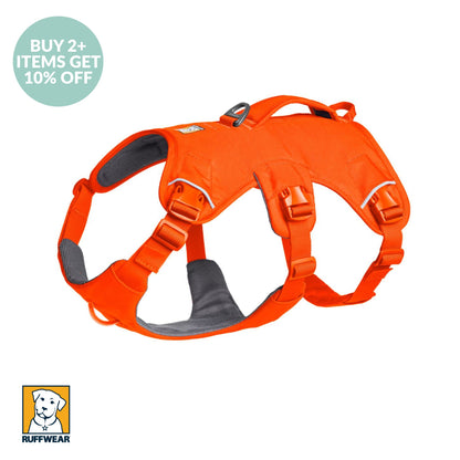 Ruffwear Web Master Harness