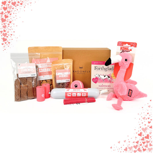 Valentines Treat Box