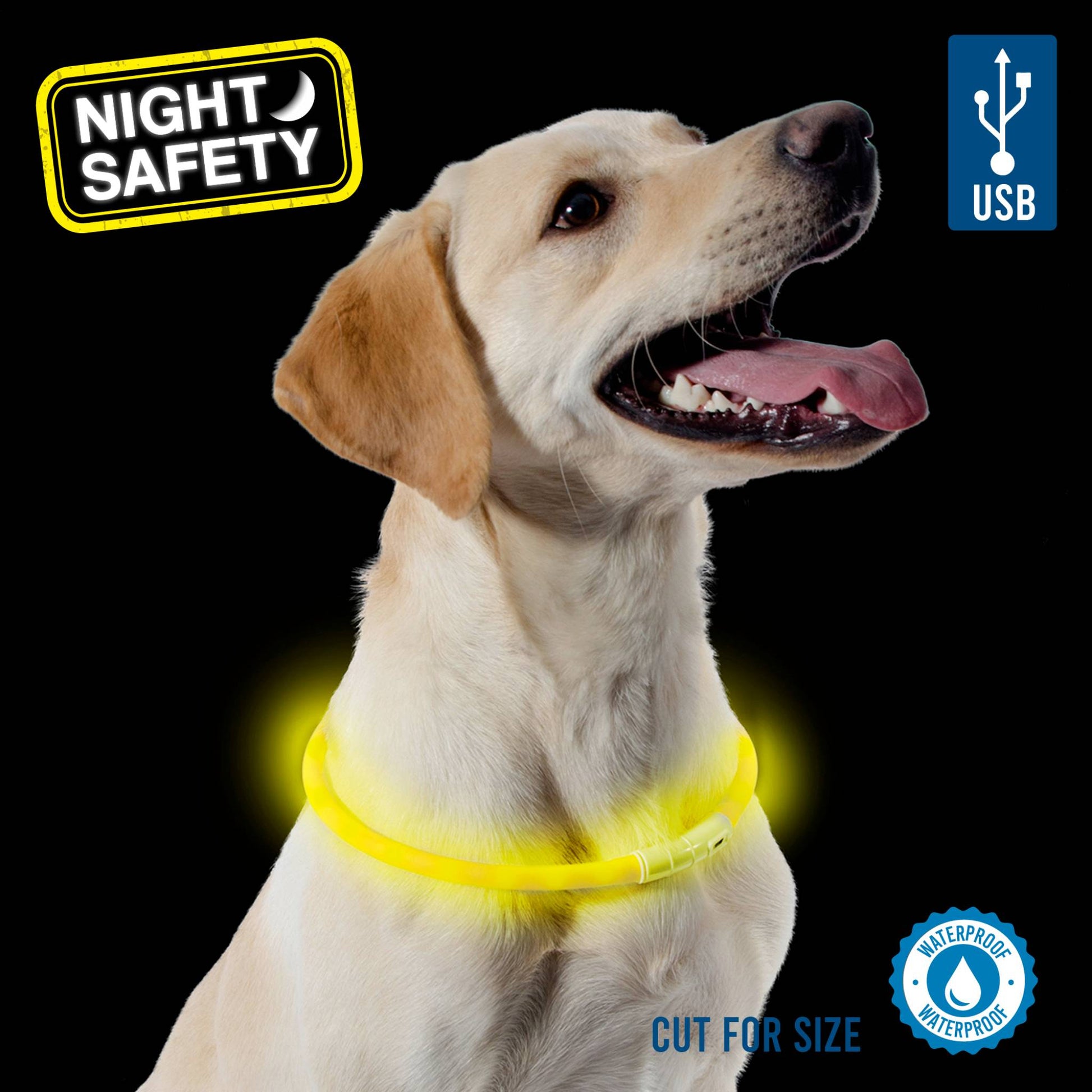Ancol Night Safety Dog Collar