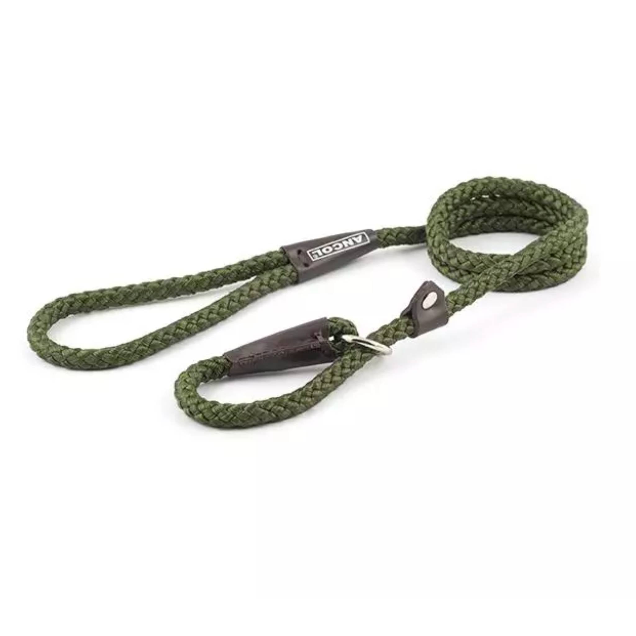 Green rope shop dog lead