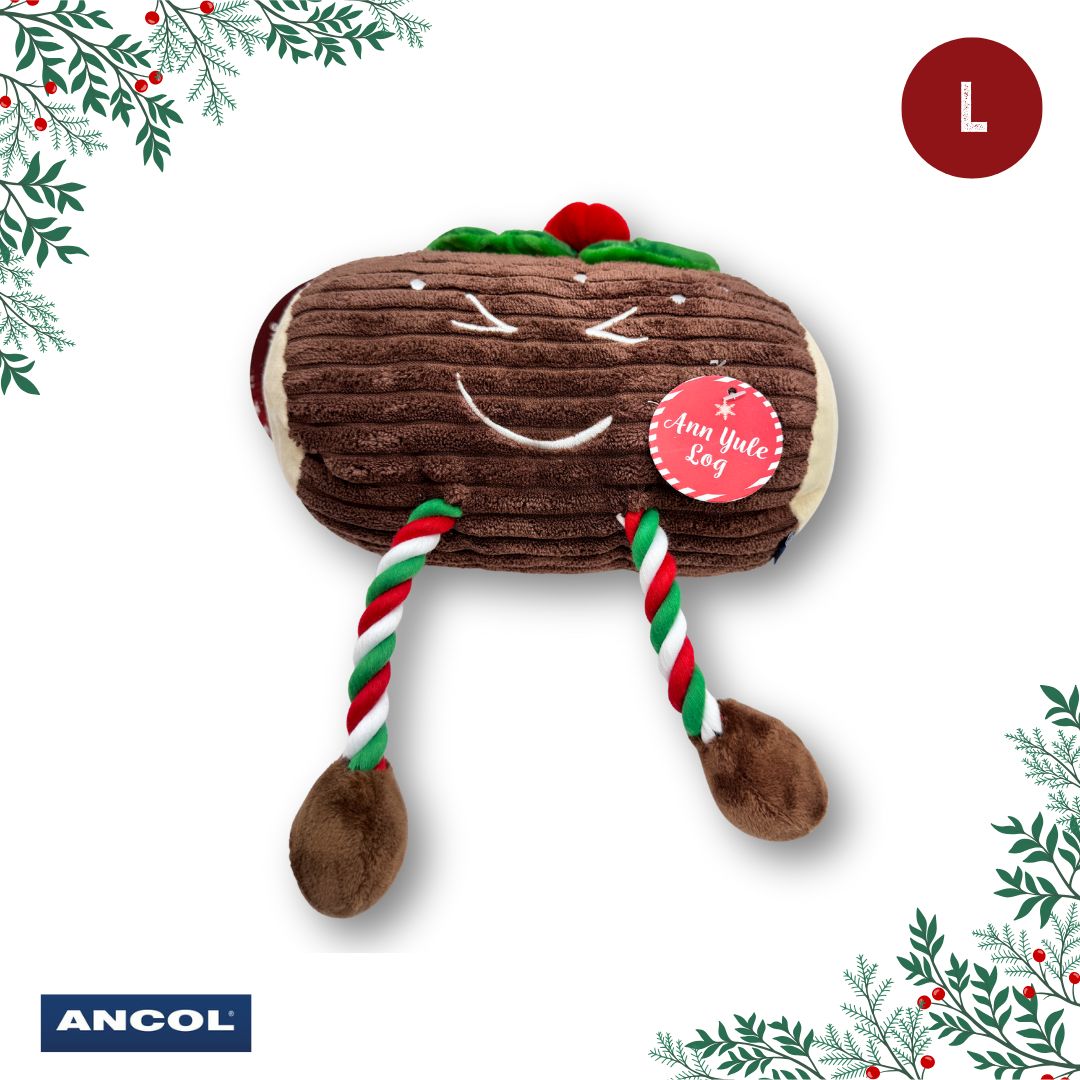 Ancol Christmas Toy Mystery Box