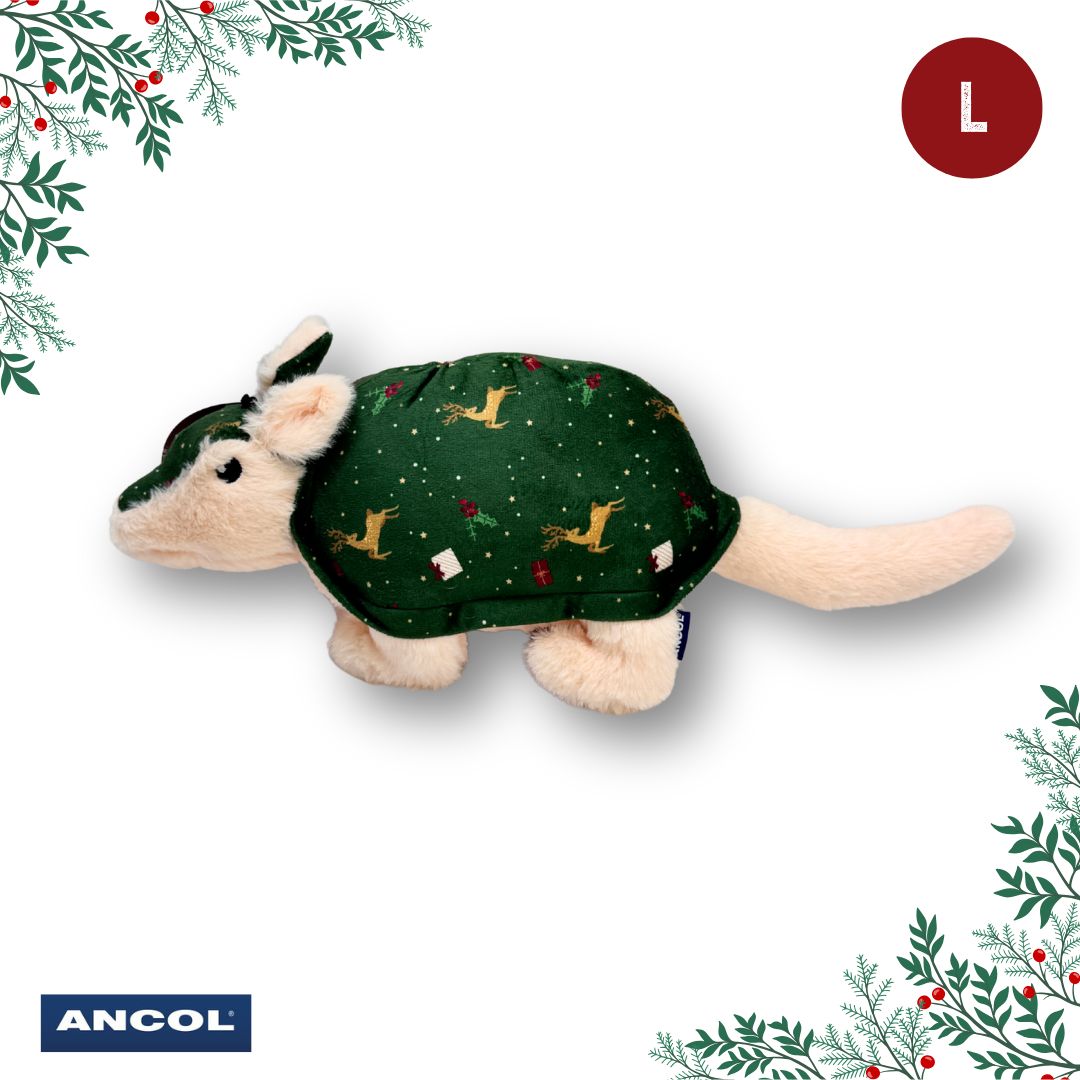 Ancol Christmas Toy Mystery Box