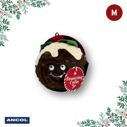 Ancol Christmas Toy Mystery Box