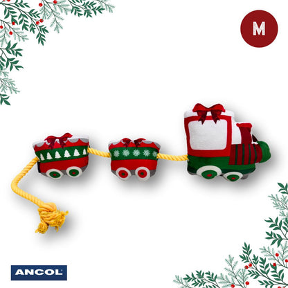 Ancol Christmas Toy Mystery Box