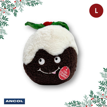 Ancol Christmas Toy Mystery Box