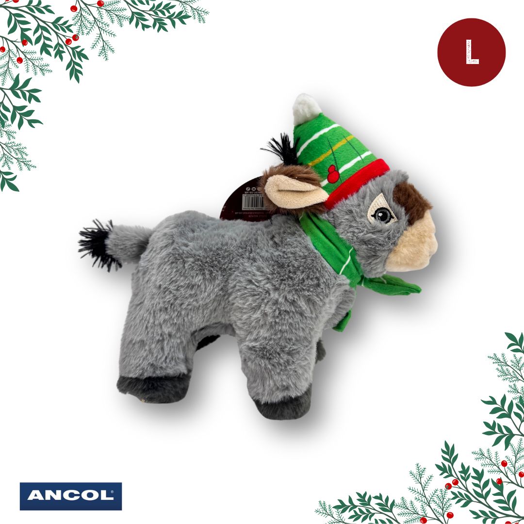 Ancol Christmas Toy Mystery Box