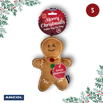 Ancol Christmas Toy Mystery Box