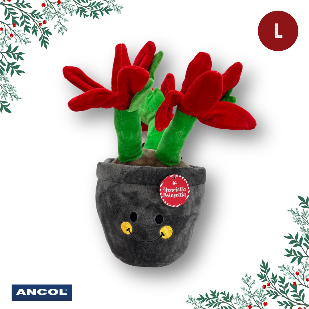 Ancol Christmas Toy Mystery Box