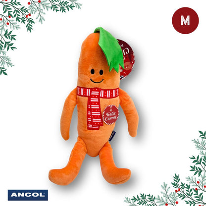 Ancol Christmas Toy Mystery Box