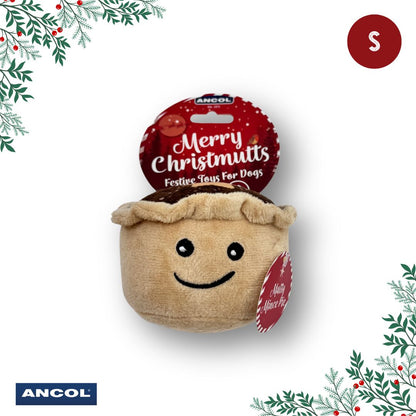 Ancol Christmas Toy Mystery Box