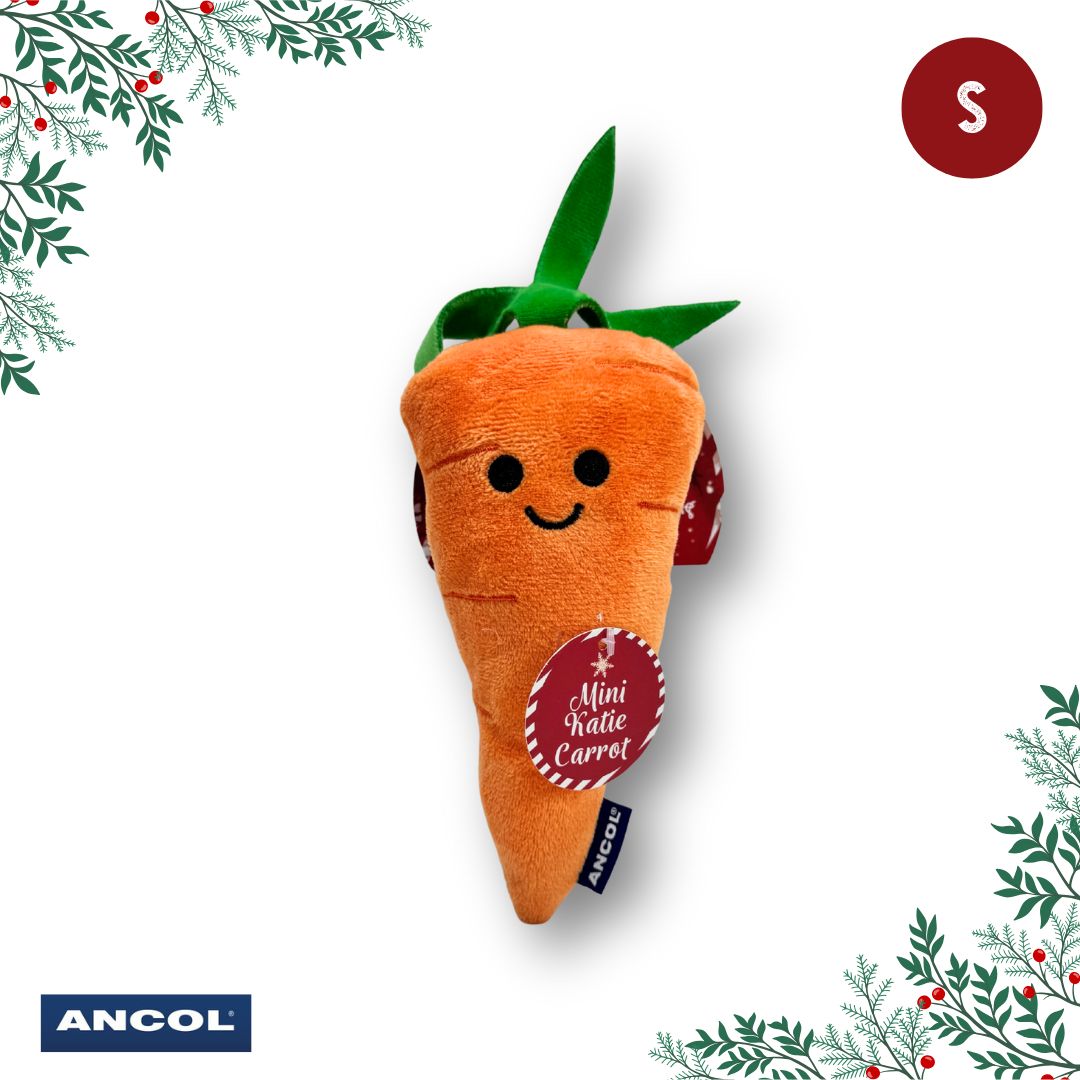 Ancol Christmas Toy Mystery Box