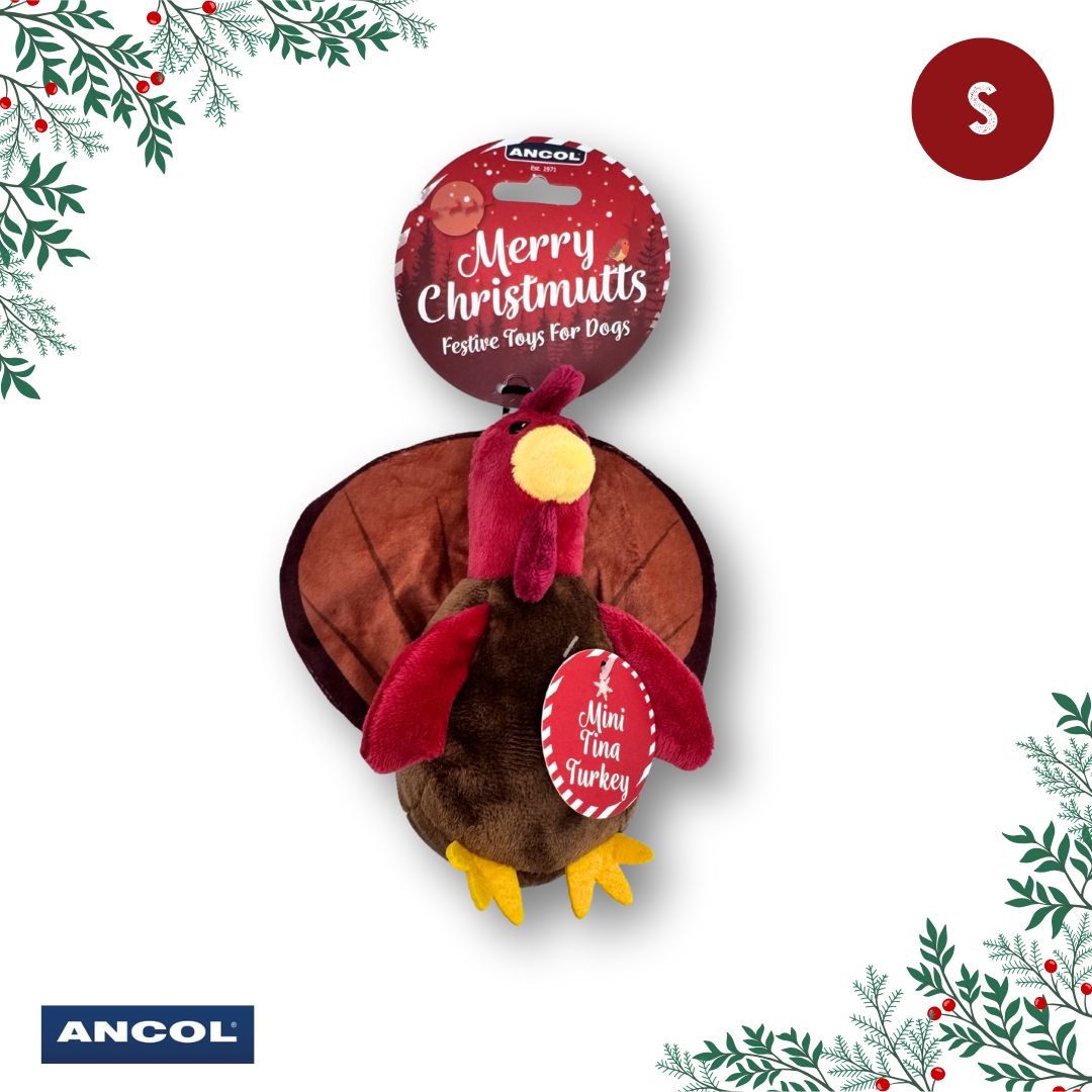 Ancol Christmas Toy Mystery Box