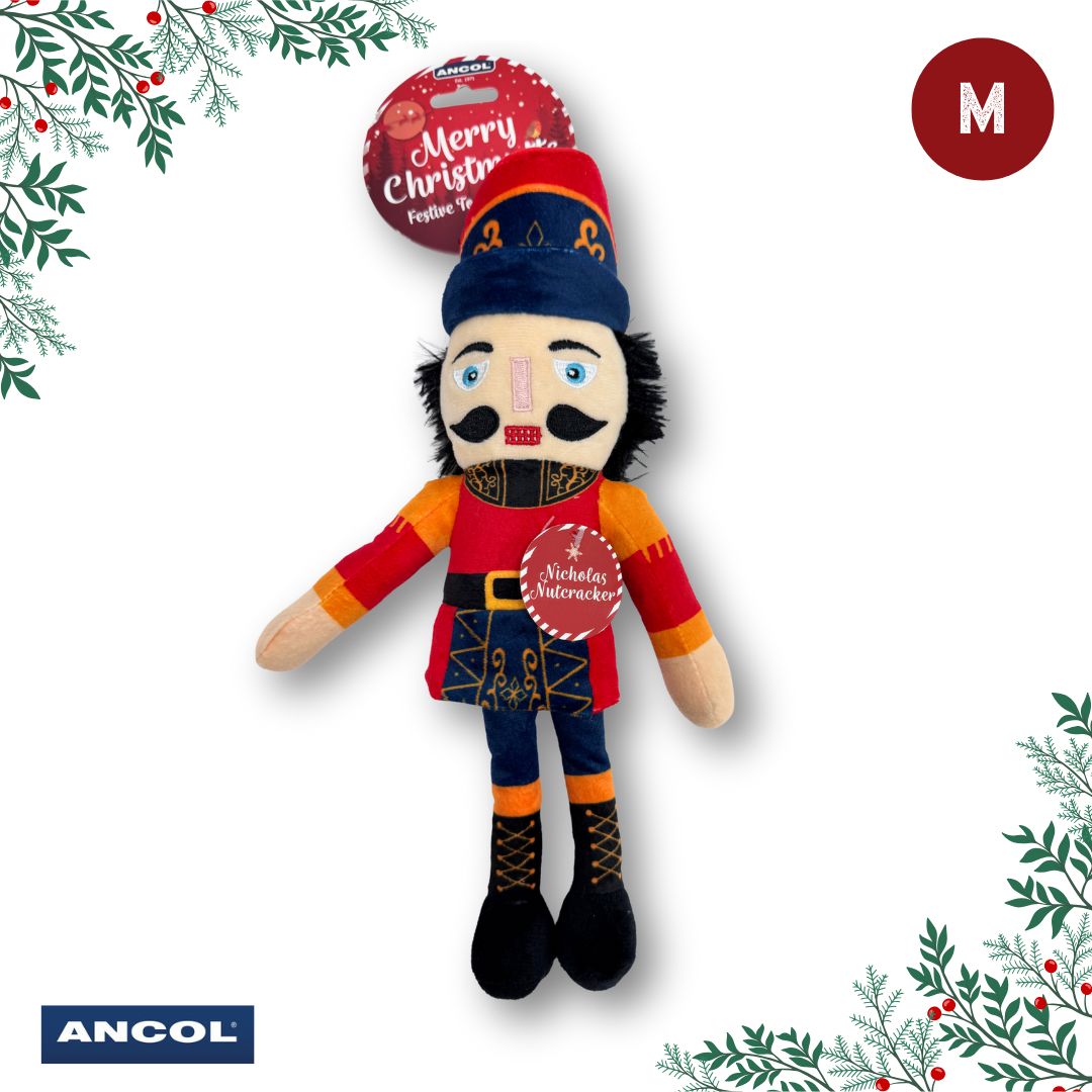 Ancol Christmas Toy Mystery Box