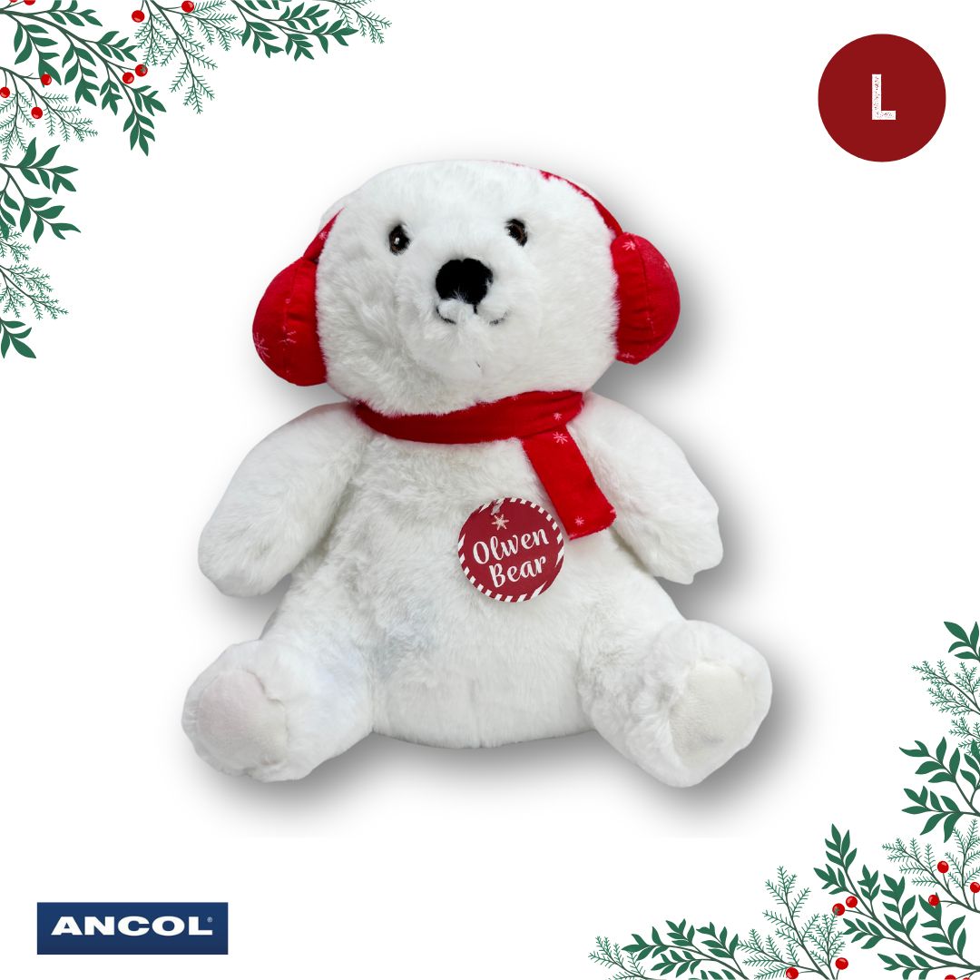 Ancol Christmas Toy Mystery Box