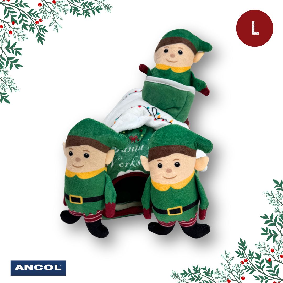 Ancol Christmas Toy Mystery Box