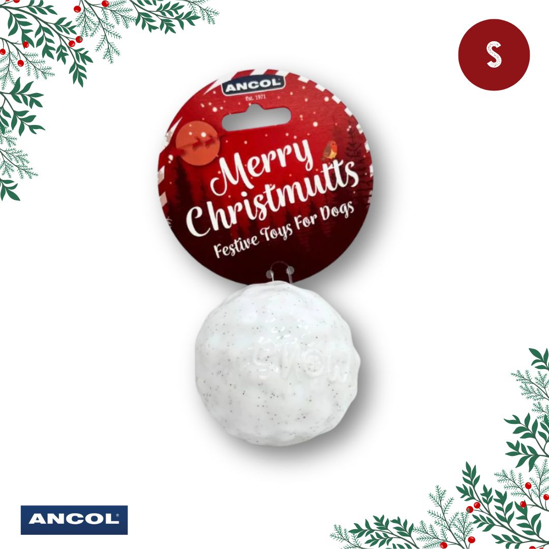 Ancol Christmas Toy Mystery Box
