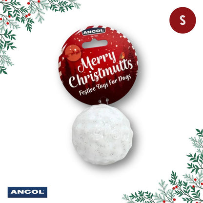 Ancol Christmas Toy Mystery Box